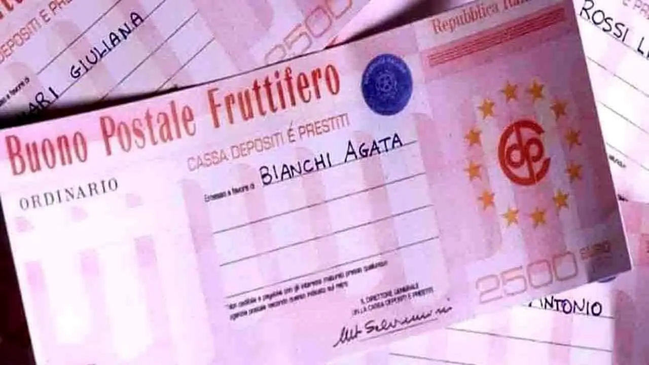 Immagine selezionata